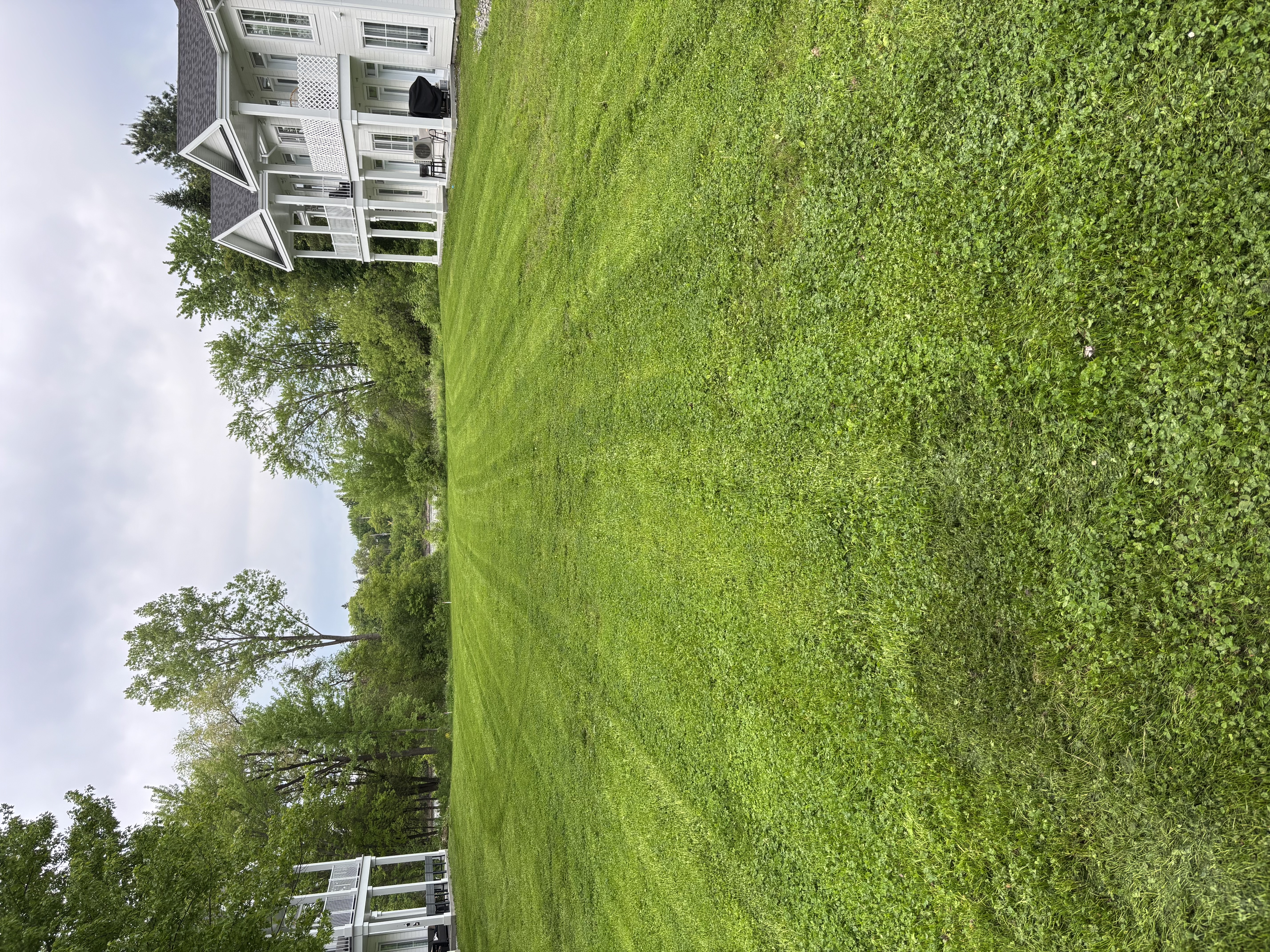 Complexe Saint-Charles Charlemagne